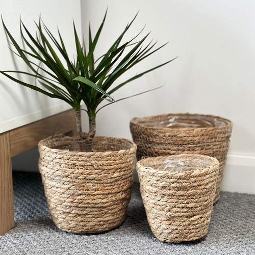 Set plant baskets woven - of, 3