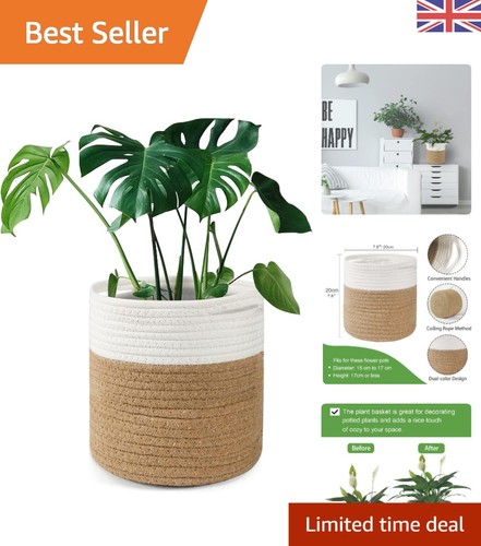 Elegant 20cm cotton - cotton, plant