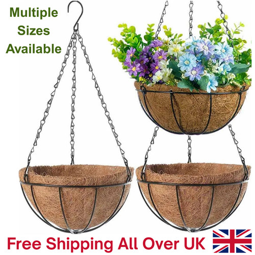 Hanging baskets plants flower - hanging,