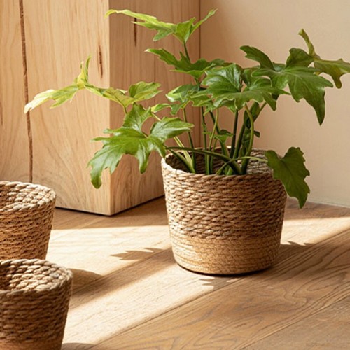 Woven natural grass flower - flower, pot