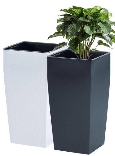 Tall planter plant - tall, flower