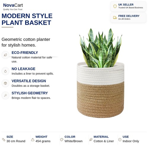 Plant pot with - plant,