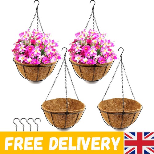 Pack inch hanging planter - inch,