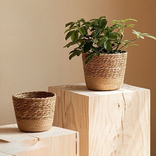 Woven natural grass flower - woven,