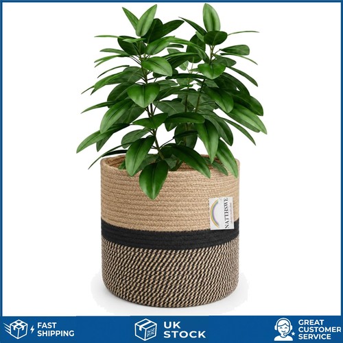 Elegant woven cotton plant - elegant,