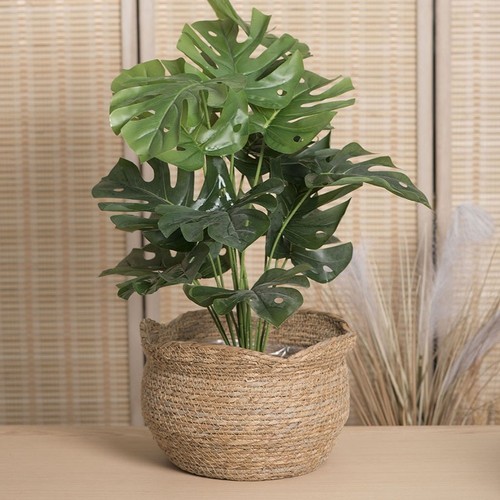 Woven flower basket with - woven,