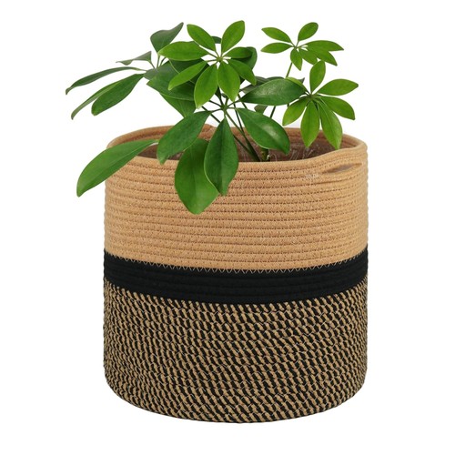 30cm indoor plant - 30cm, pot