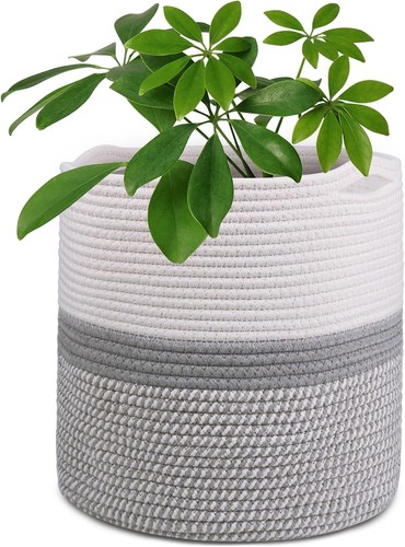 Tenn well 30cm large indoor - tenn,