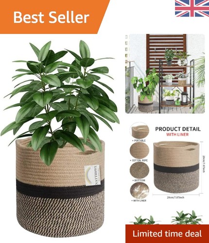 Indoor decorative plant basket - plant,