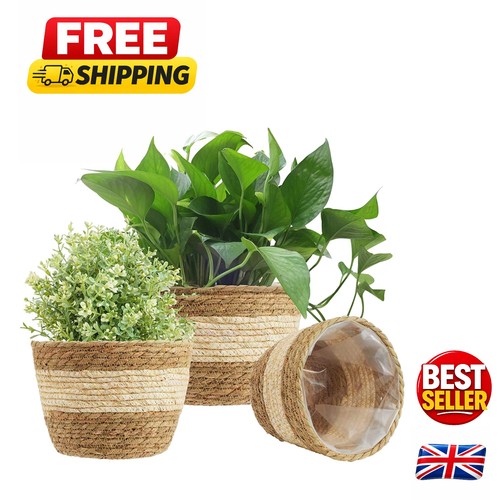 Durable beige woven seagrass - beige,
