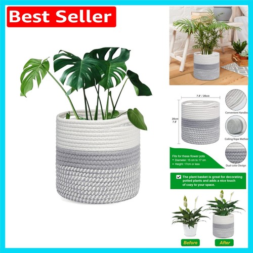 20cm round plant - round, pot