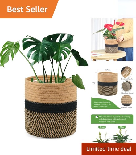 Modern 20cm indoor plant - modern, pot